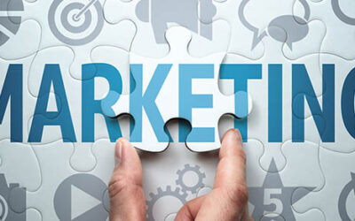 How should your marketing strategy change next year?